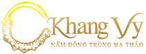 C-Khang Vy Co.,Ltd